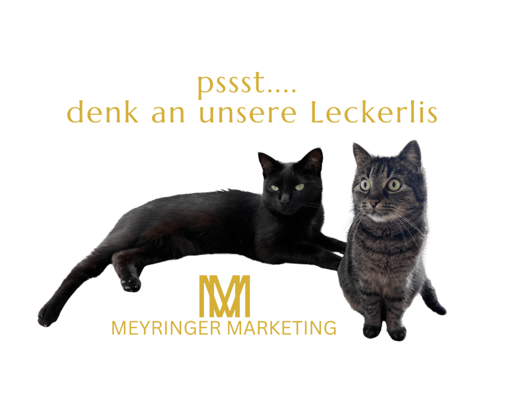 Marketing Agentur Regensburg