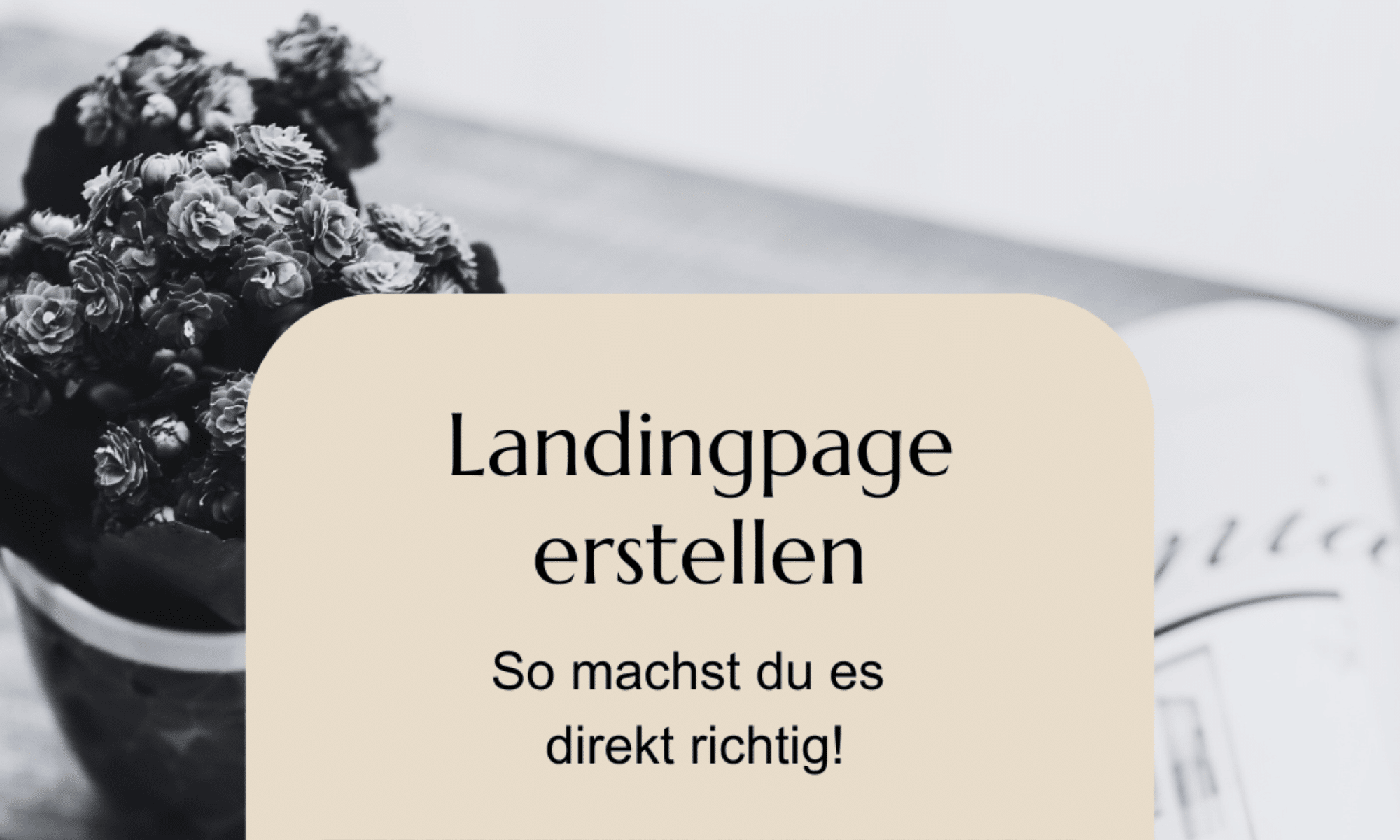 Landingpage erstellen